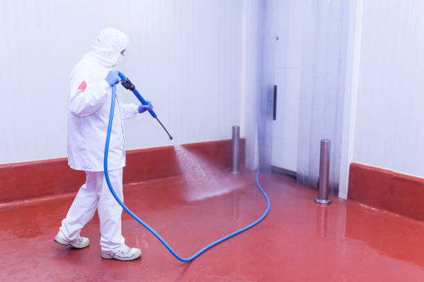 Boat and Dock Cleaning in Pine Mountain Lake, CA
